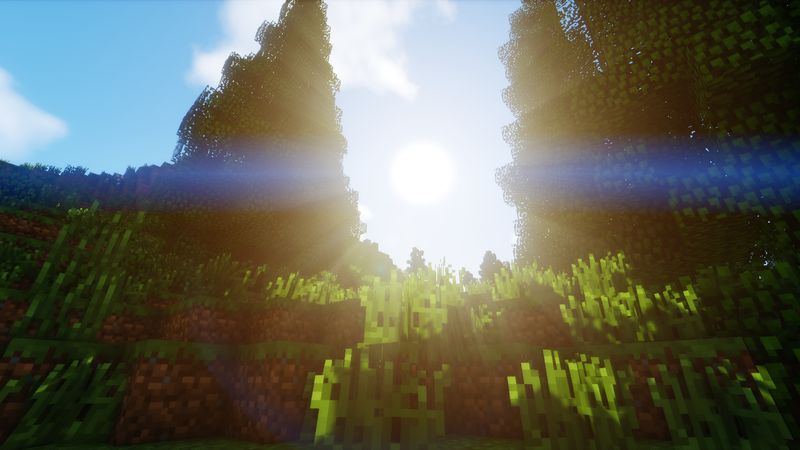 Custom Generated Forests Custom Generated Forests