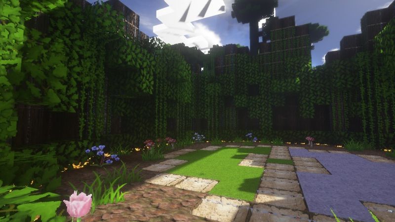 Grass Gym Grass Gym