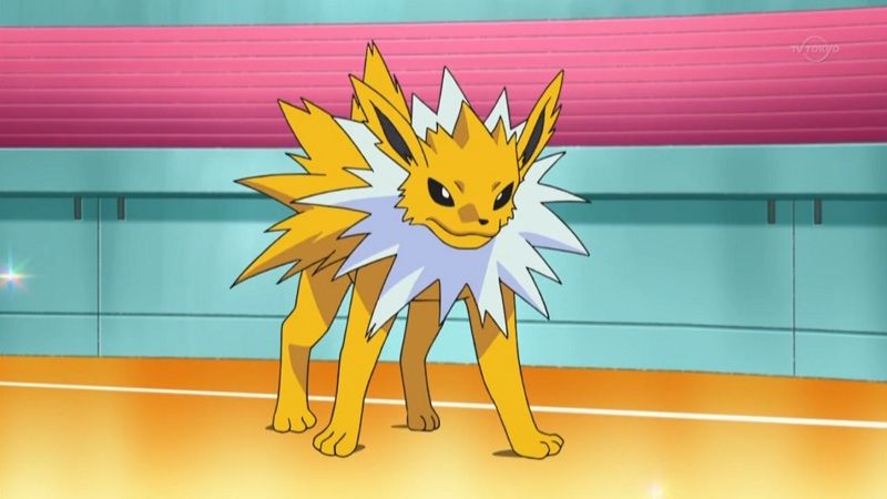 Jolteon Jolteon