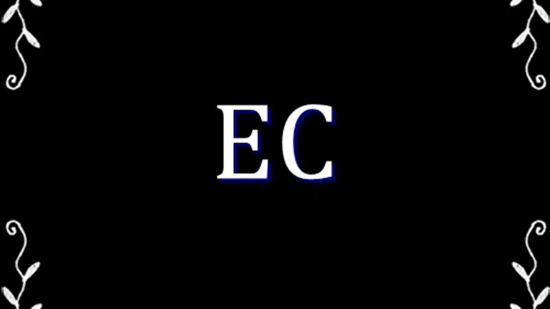EC Logo EC Logo