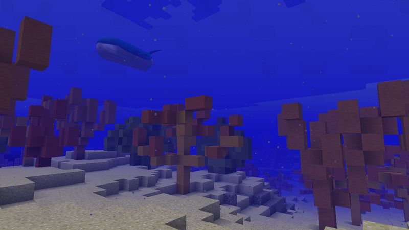 Diverse Sea Life Diverse Sea Life