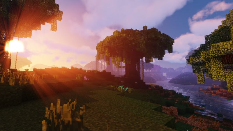 Pixelmon Swamp Pixelmon Swamp