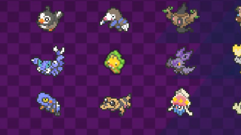 Custom Starters Custom Starters